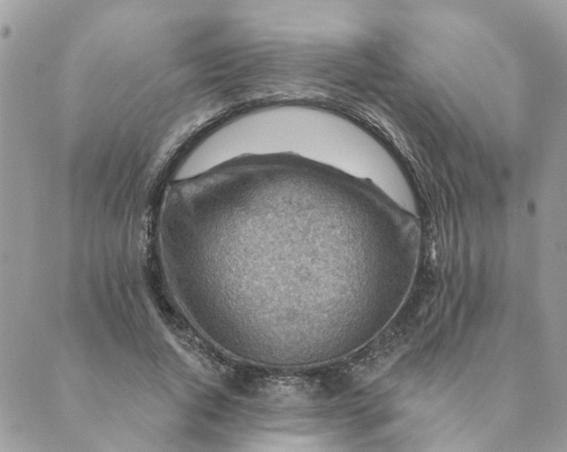 X0000089380736200707061138