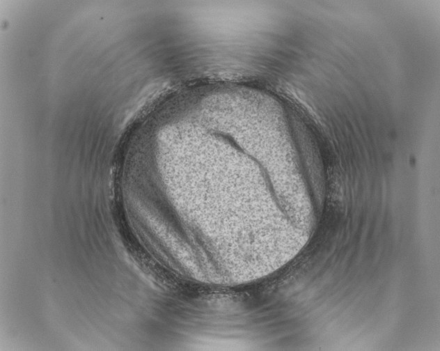 X0000089380738200707061138