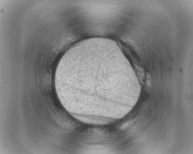 X0000089380739200707061138