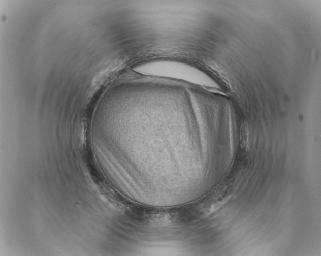 X0000089380740200707061138