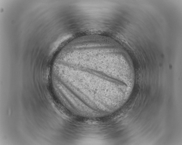 X0000089380742200707061138