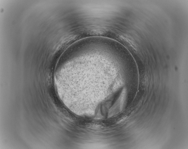 X0000089380743200707061138