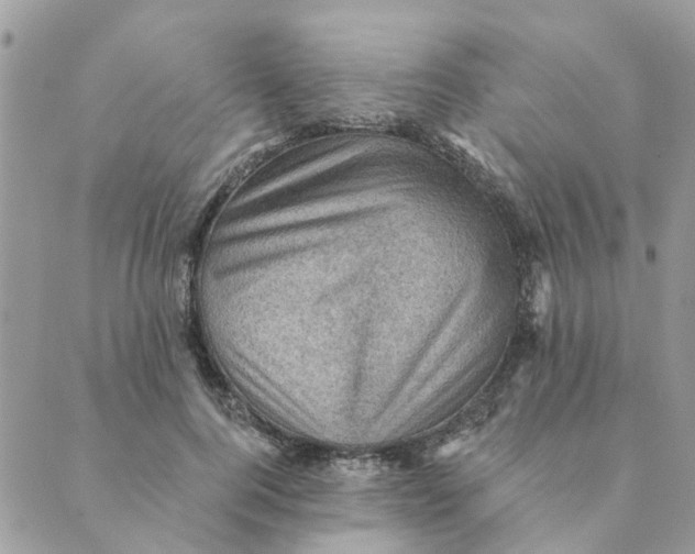 X0000089380744200707061138