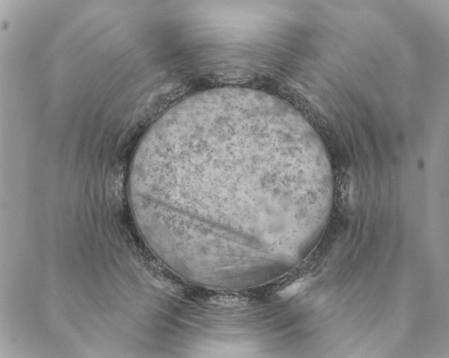 X0000089380745200707061138