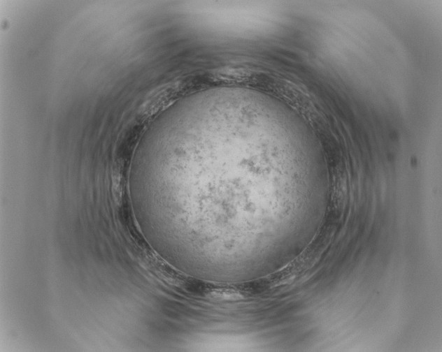 X0000089380749200707061138