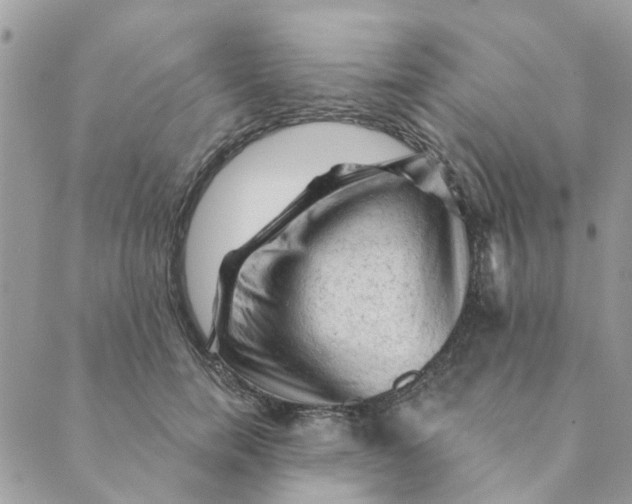 X0000089380750200707061138