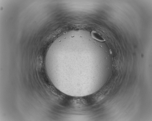 X0000089380752200707061139