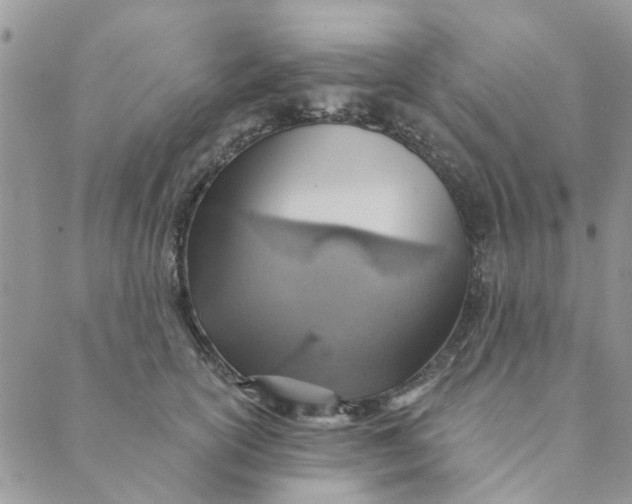 X0000089380754200707061139