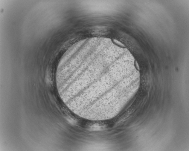 X0000089380755200707061139