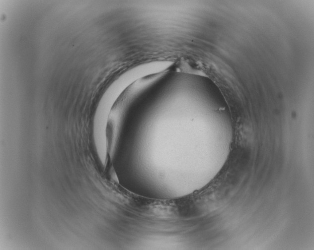 X0000089380756200707061139