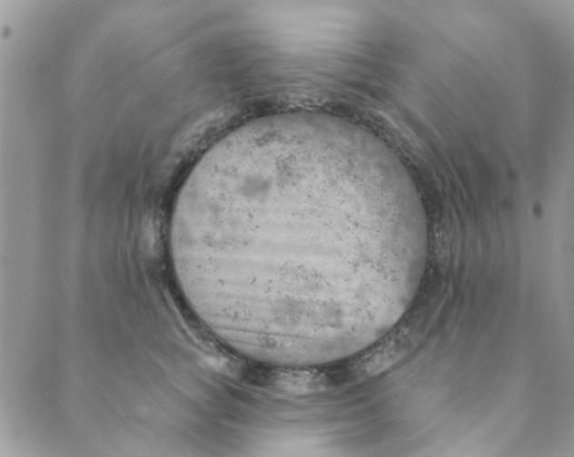 X0000089380757200707061139