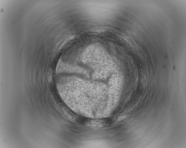 X0000089380758200707061139