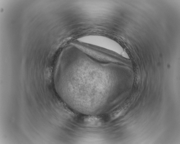 X0000089380759200707061139