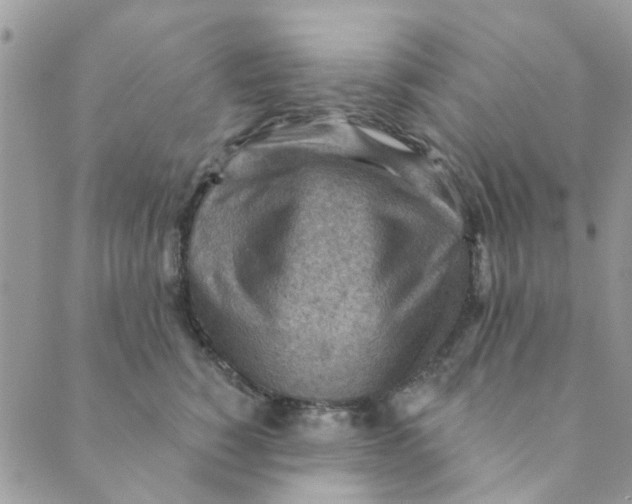 X0000089380760200707061139