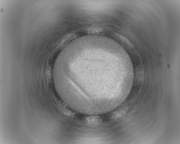 X0000089380761200707061139