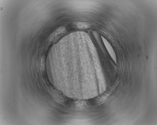 X0000089380762200707061139