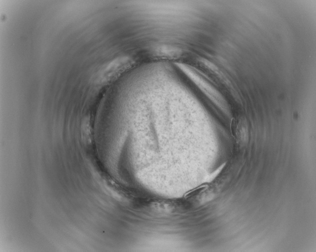 X0000089380764200707061139