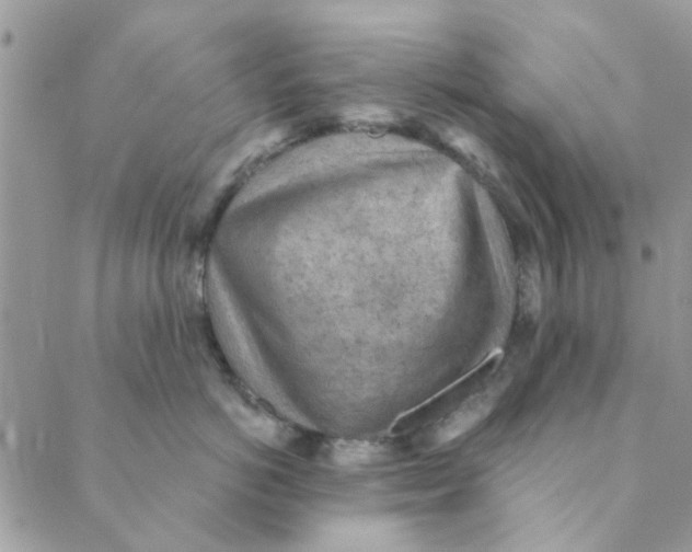 X0000089380766200707061139