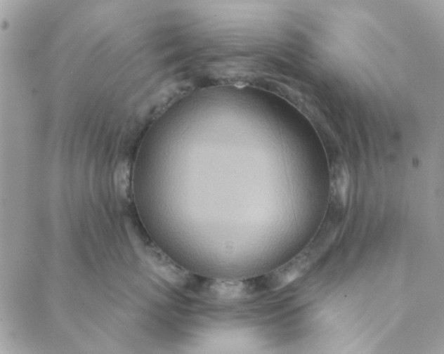 X0000089380767200707061139