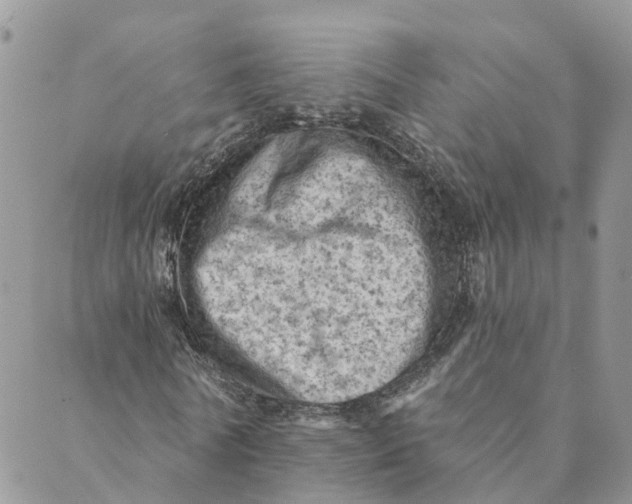 X0000089380770200707061138