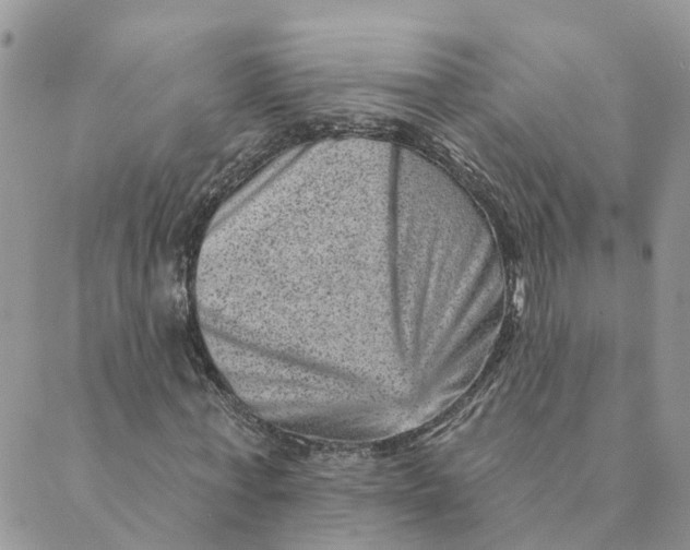 X0000089380771200707061138