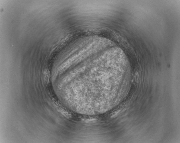 X0000089380772200707061138