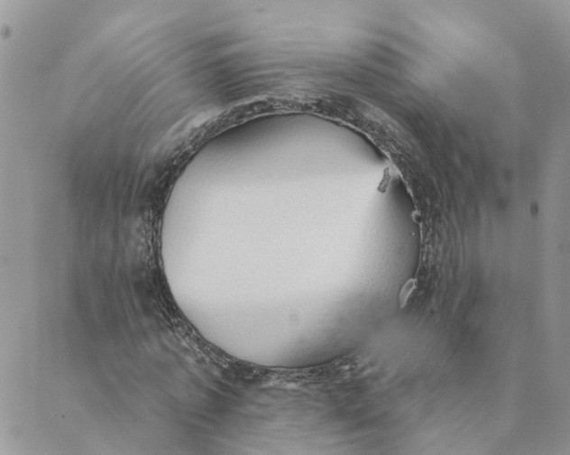 X0000089380773200707061138