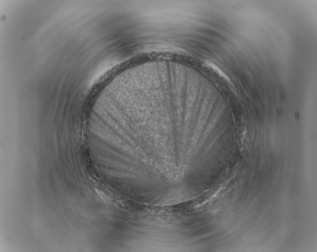 X0000089380775200707061138