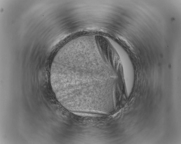 X0000089380776200707061138