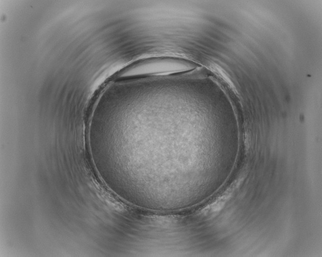 X0000089380781200707061138