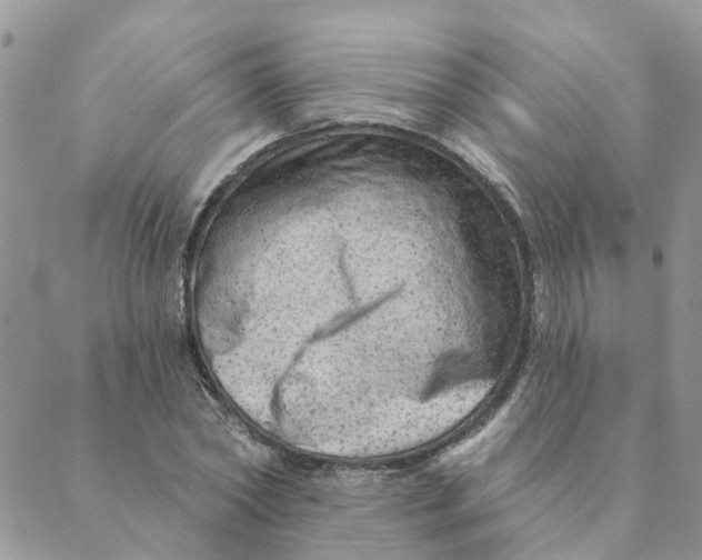 X0000089380782200707061138