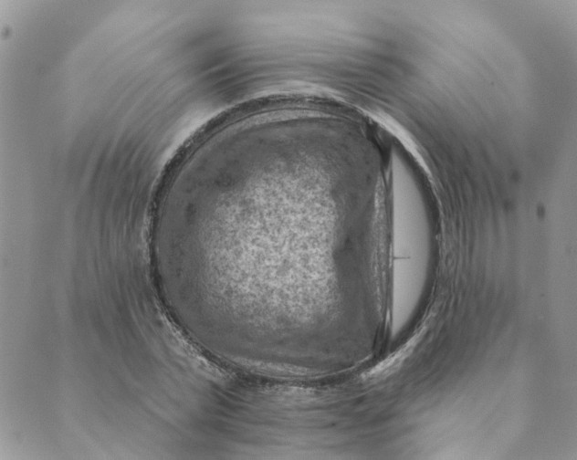 X0000089380783200707061138