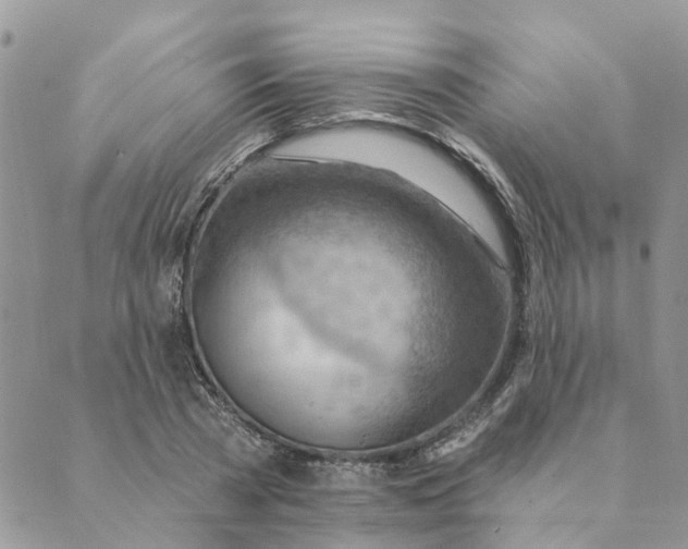 X0000089380785200707061138