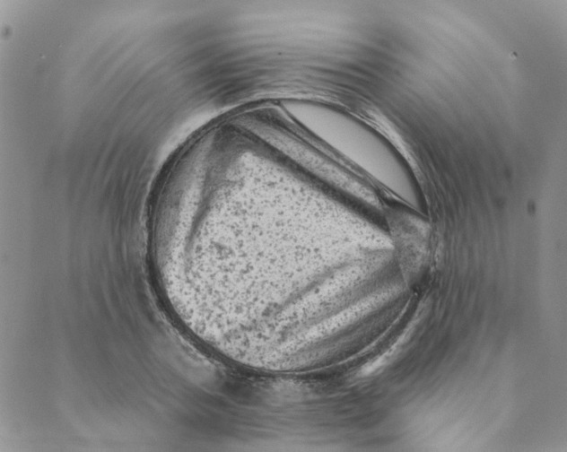 X0000089380787200707061138