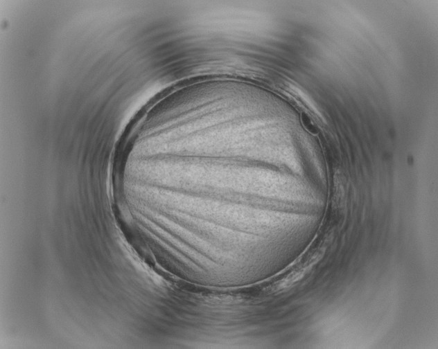 X0000089380788200707061138