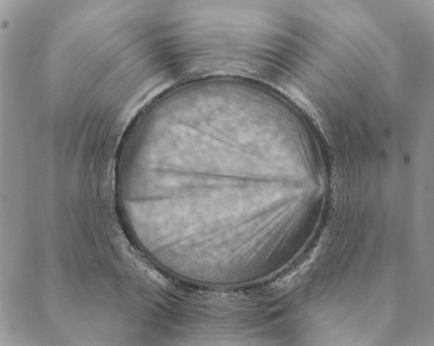 X0000089380790200707061138