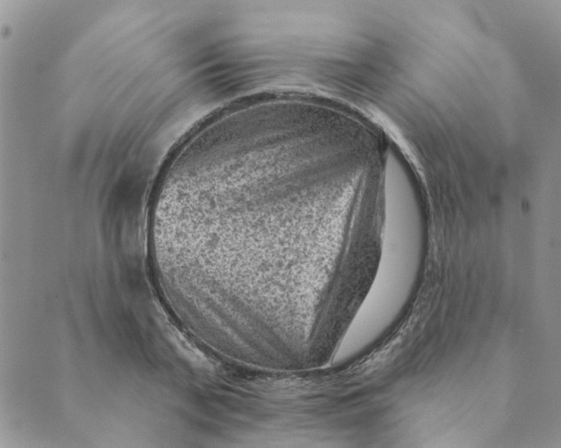 X0000089380791200707061138