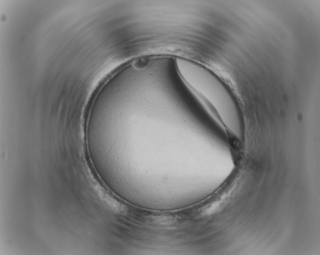 X0000089380792200707061138