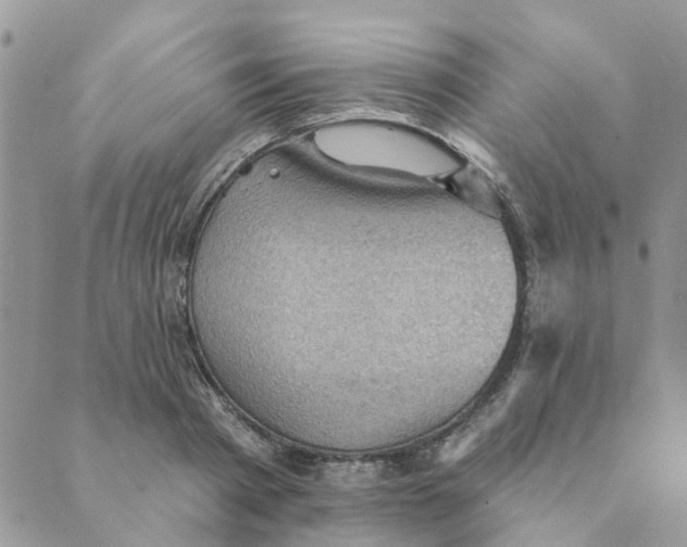 X0000089380793200707061138