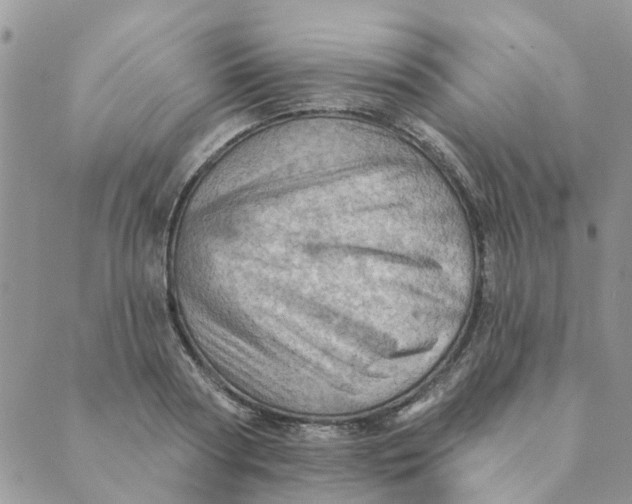 X0000089380794200707061138