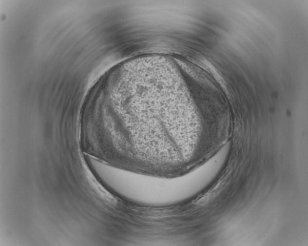 X0000089380795200707061138