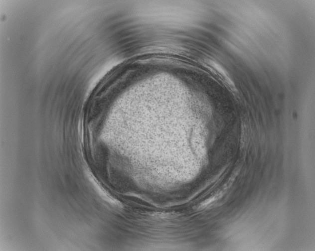 X0000089380796200707061138