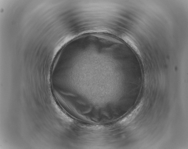 X0000089380797200707061138