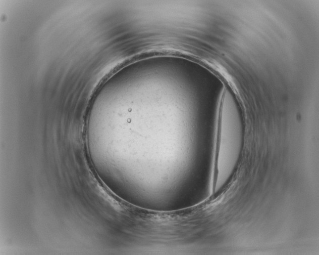 X0000089380799200707061138