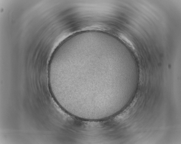 X0000089380800200707061138