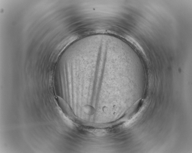 X0000089380801200707061138