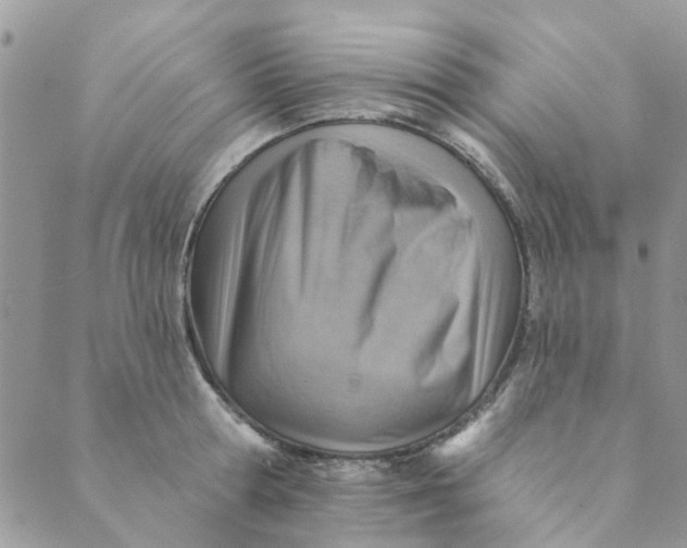 X0000089380802200707061137