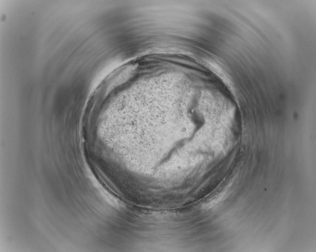 X0000089380803200707061137