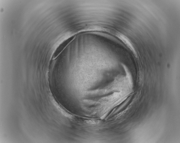 X0000089380805200707061137