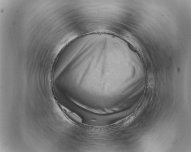 X0000089380806200707061137